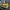 Yellow Sports Racing Sedan 3D Model