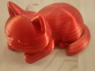 Sleepy Cat Cute