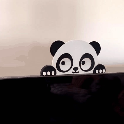 PANDA CU OCHII CARE TE URMĂRESC