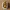 Clicker Hibou halloween