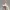 玛丽莲·梦露 2