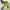 Modelo Articulado DIY do Bumblebee dos Transformers
