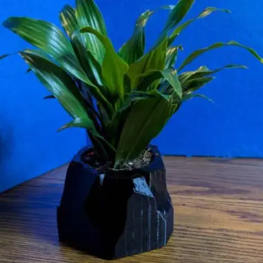 Convertible Mountain Pot-0