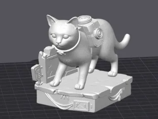 Stray