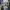 T800_head_cut_Mask