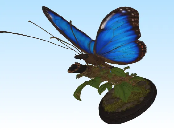 BUTTERFLY BLUE
