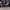 MLB - Arizona Diamondbacks Corbin Carroll display