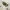 Pot Skadis pour fleurs et plantes