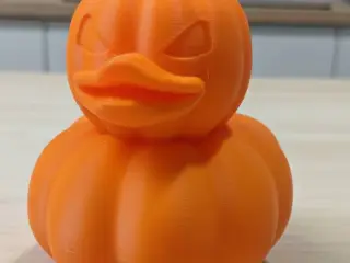 pumpkin duck