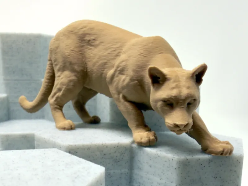 Mountain lion on the prowl