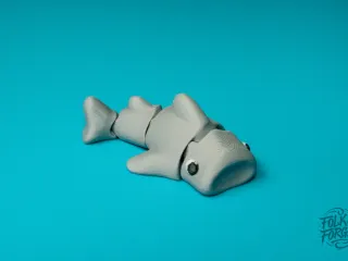 Whale shark  - AMS