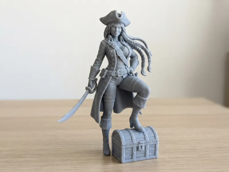 Pirate Captain
