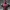 DEADPOOL FAN ART BUST