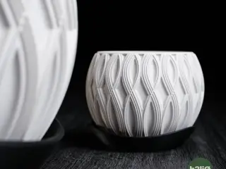 velar • planter