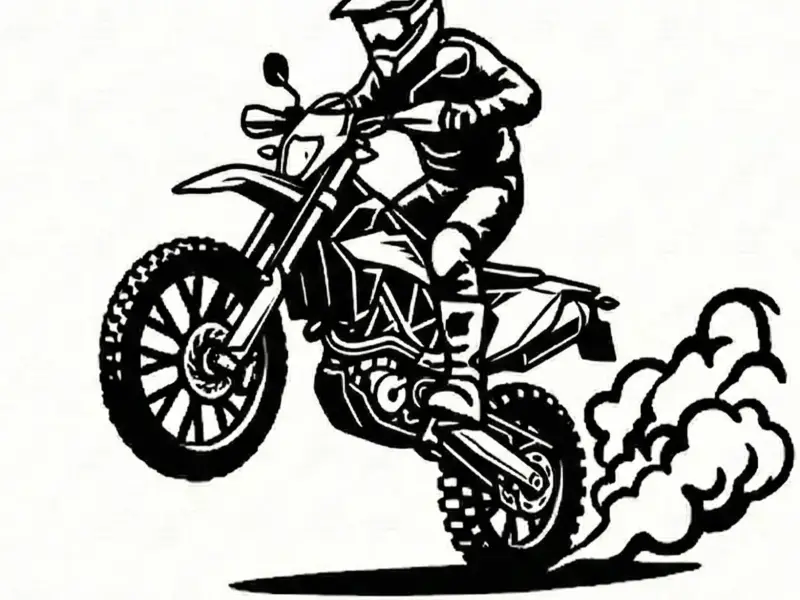 Wallart KTM 690 Enduro single color