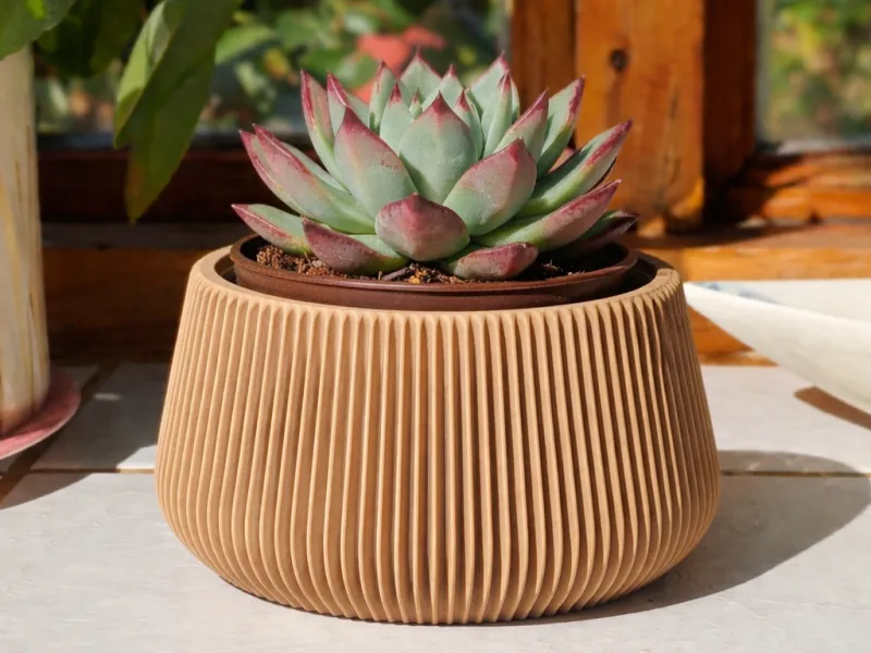 macetero
