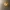 Glowing Halloween Pumpkin – Spooky Decoration