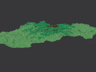 Regions of Slovakia. 3D Map puzzle (8-piece)