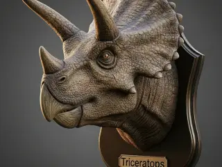 Triceratops Trophy