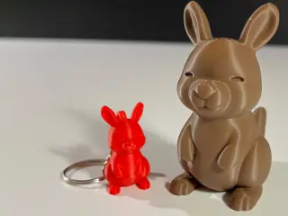 Cute Kangaroo
