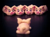 Pig Flexi-0