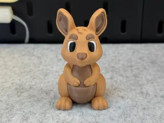 Cute Kangaroo