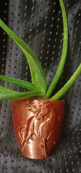 Wall Plant Pots Collection-2