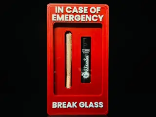 In Case of Emergency: Joint & Lighter Edition