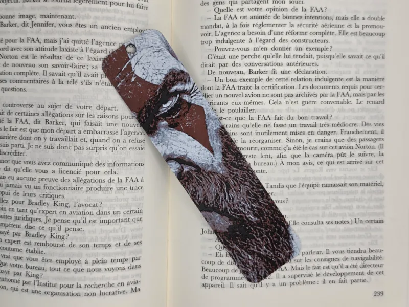 Bookmarl Kratos