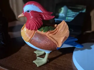 Pato Mandarin MultiParte