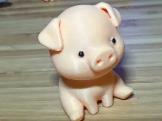 Pig Cute