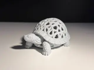 Turtle