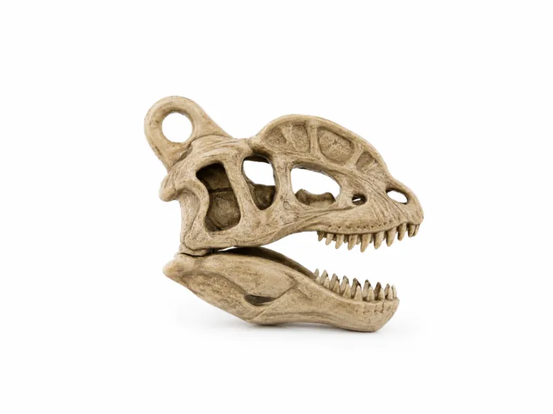 Dilophosaurus Skull | Fossil Keychain