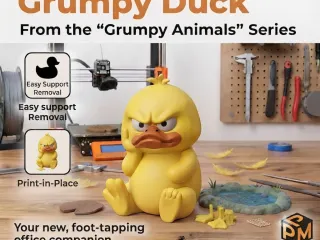 Grumpy Duck From the “Grumpy Animals” Series