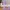 Leonor