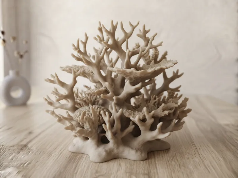 Coral Sculpture