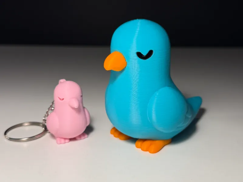 Cute Pigeon
