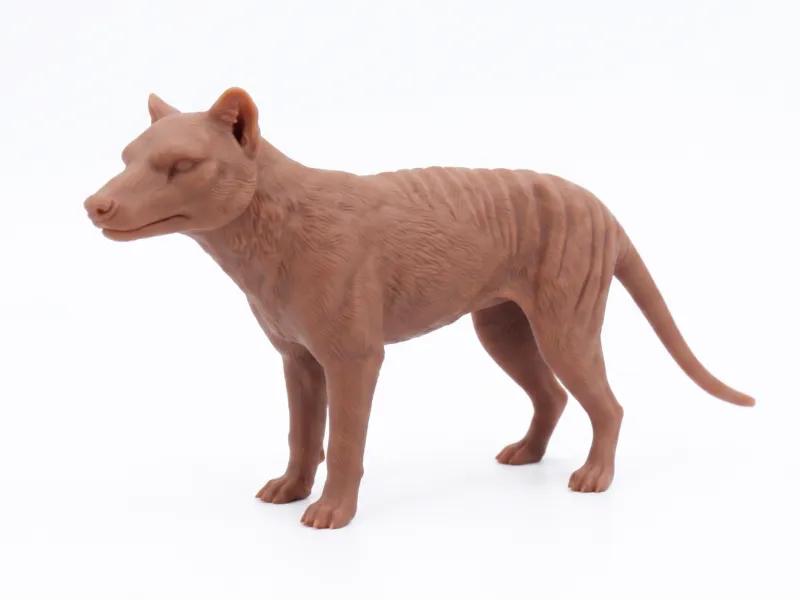 Tigre de Tasmanie
