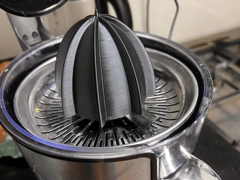 Citrus_squeezer cone print