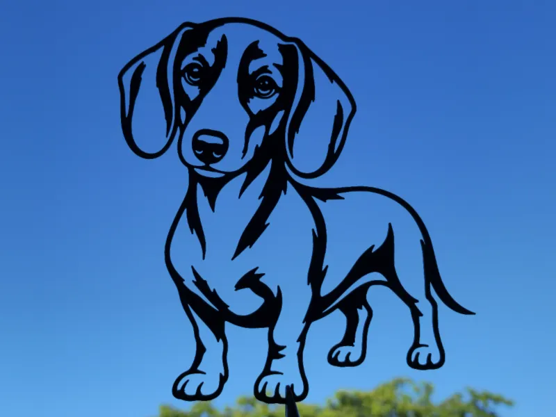Cute Dachshund Wall Art