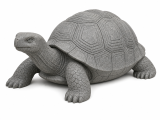 Turtle-0