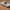 Lotus Elan