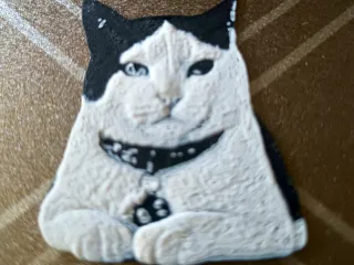 Lienzo Gato