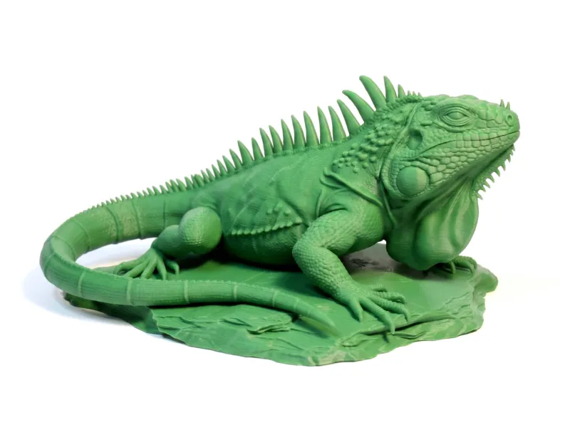 Iguane vert