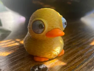 Cute Duck With Big Movable Eyes