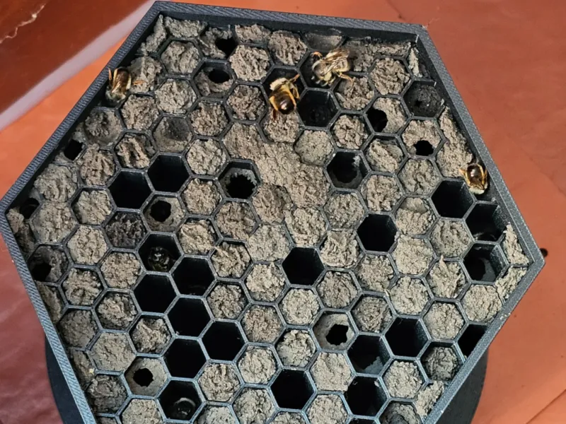 Soortvriendelijk wildbijenhotel, Wild Bee Hotel
