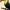 Low poly toucan