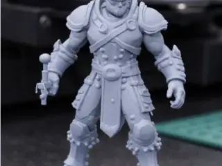 Warrior model 1