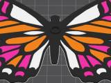 Swallowtail Butterfly-0