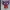 Haunter Planter